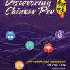 Discovering Chinese Pro Companion Workbook Volume 2